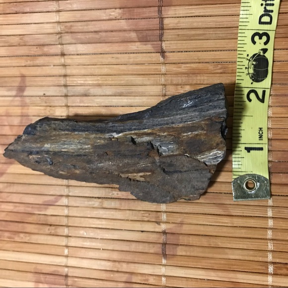 Petrified Wood  Natural Healing Stone - Picture 3 of 5